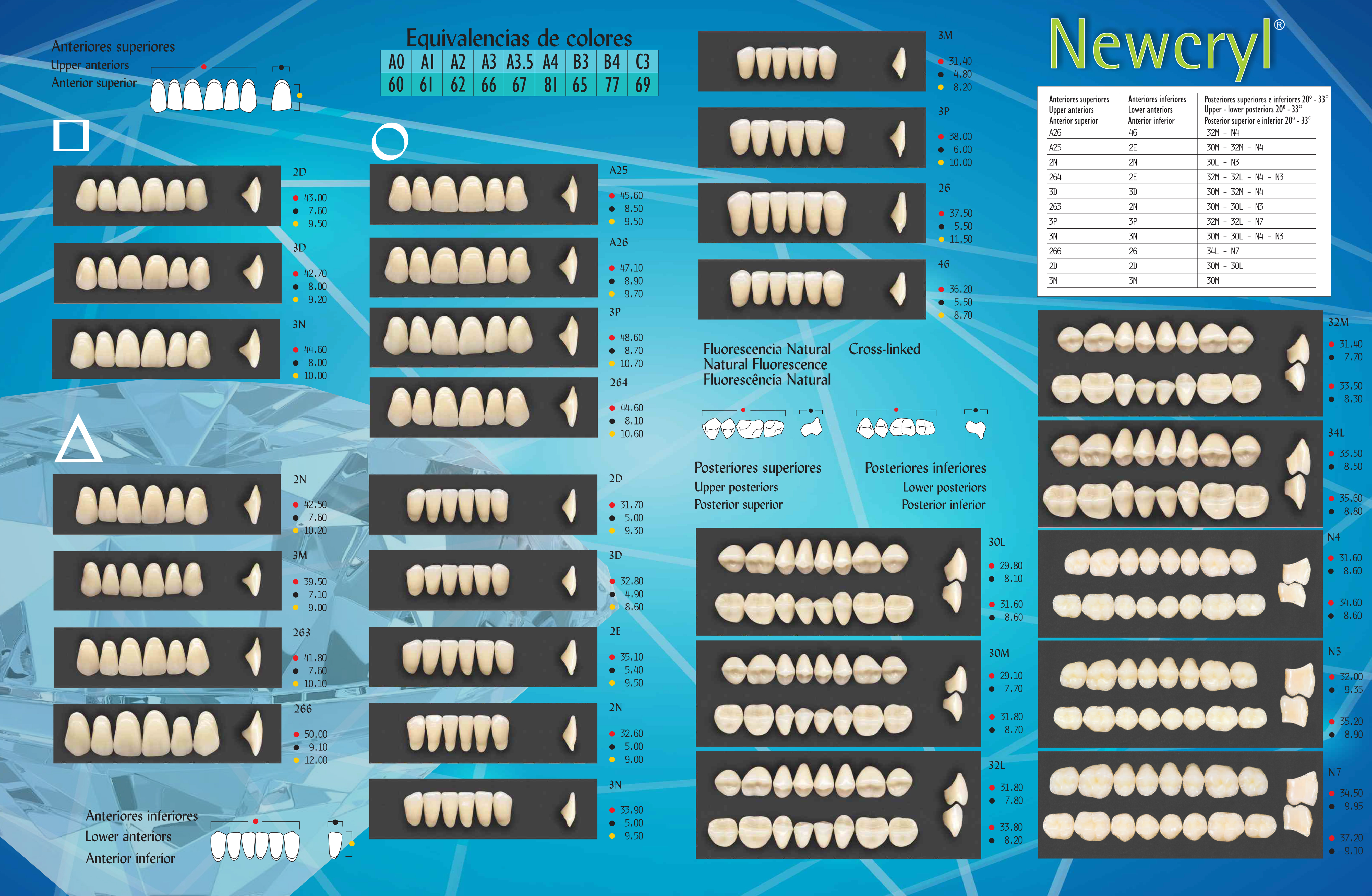 Dientes NewcryL® (LEER DESCRIPCIÓN)